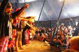 Poulpes Circus 16 * 5184 x 3456 * (8.02MB)